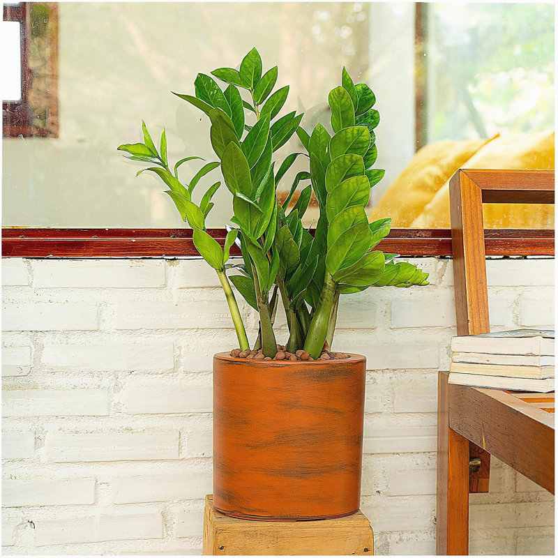 Pot à fleurs en plastique peint 7,8 po