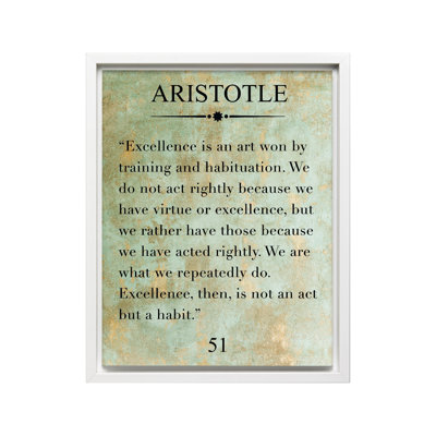 Aristotle Excellence