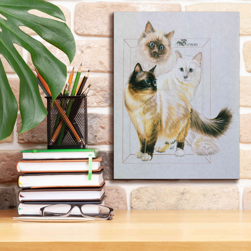 «Birman» par Barbara Keith, art mural sur toile