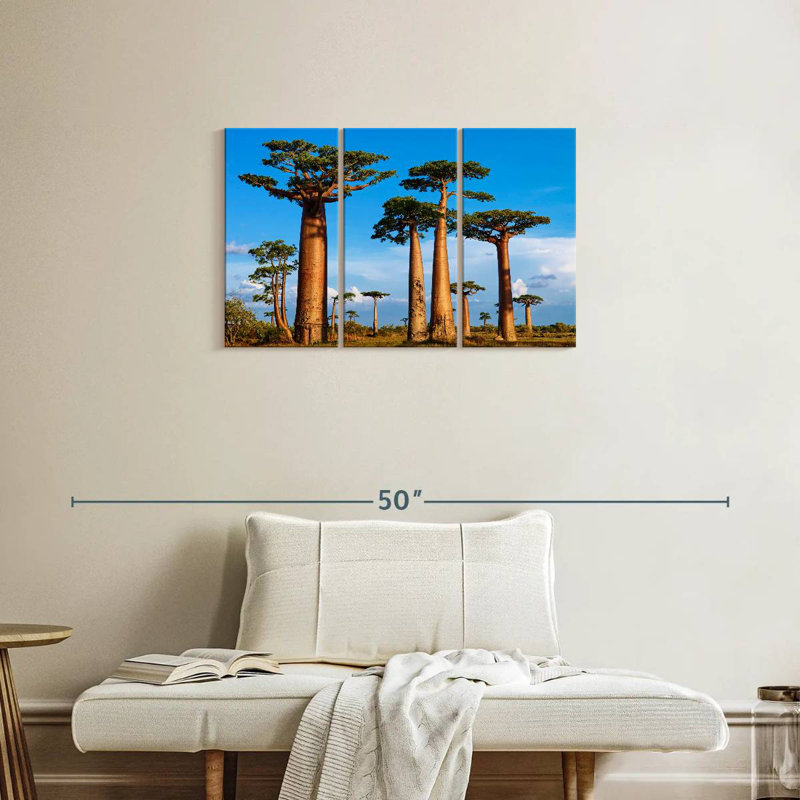 Morondava, forêt de Baobab, H 20 po x l 33 po