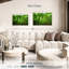 Jungle Alvord Basse-Terre-111839386