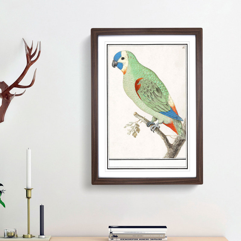 Amazon Parrot by A.B. De Boodt - Single Picture Frame Painting, Walnut Framed, 45cm H x 33cm W x 2cm D