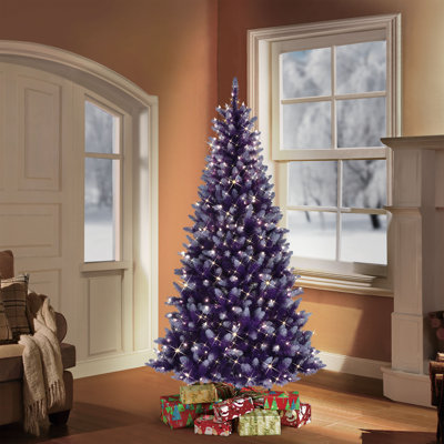 78' Lighted Spruce Christmas Tree