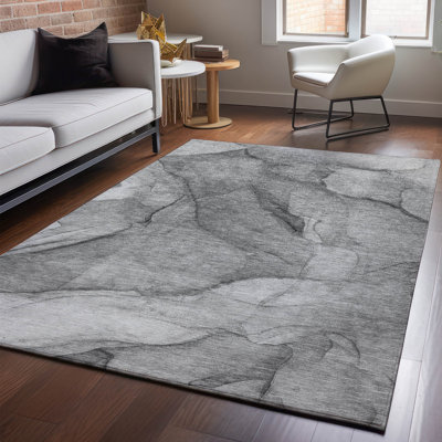 Premium Machine Washable Cerrito AMF607 Gray Rug