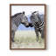 Affection africaine, reproduction encadrée - bois massif-253838708-253838709