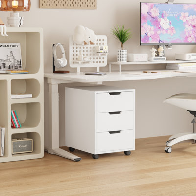 Storage Cabinet
