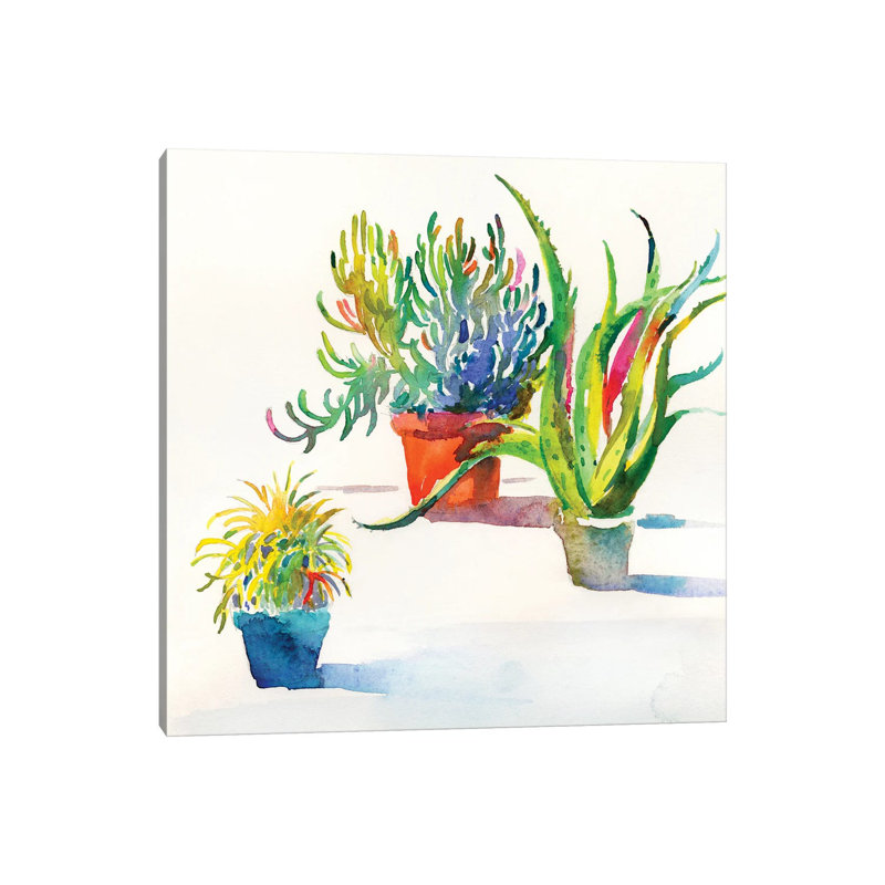 Succulent Trio II by Theresa Heidel - Wrapped Canvas Print, 30.48 cm H x 30.48 cm W