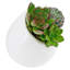Jardinière murale Hilaria-296966701-296966703