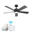 Ventilateur de plafond intelligent à 5 pales avec éclairage intégré, conception intérieure moderne pour le salon, la chambre à coucher et la salle à manger-732454201-732454203
