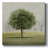 " Awakening Tree I "