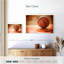  «Orange Basketball-97562085