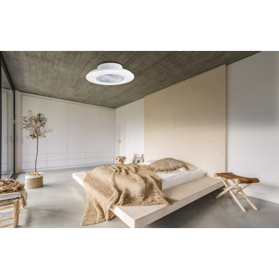 Elzebir 60cm Ceiling Fan with LED Lights