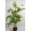98cm Faux Bamboo Tree Tree in Pot