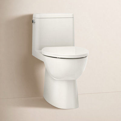 Reach 1.28 GPF Elongated Toilet