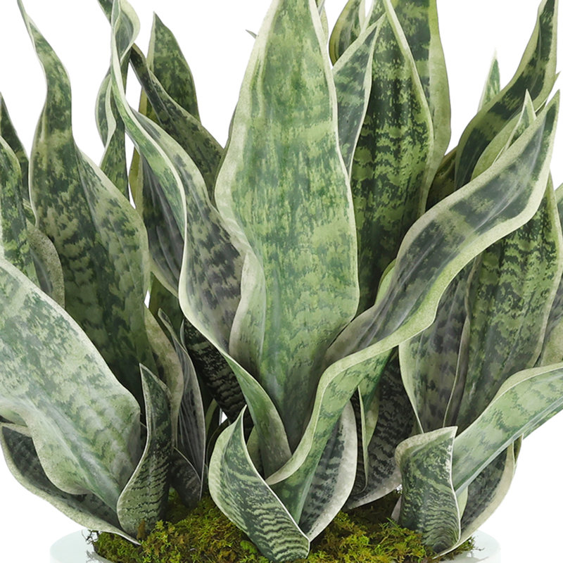 Faux Sansevieria Plant in Fiberstone Planter