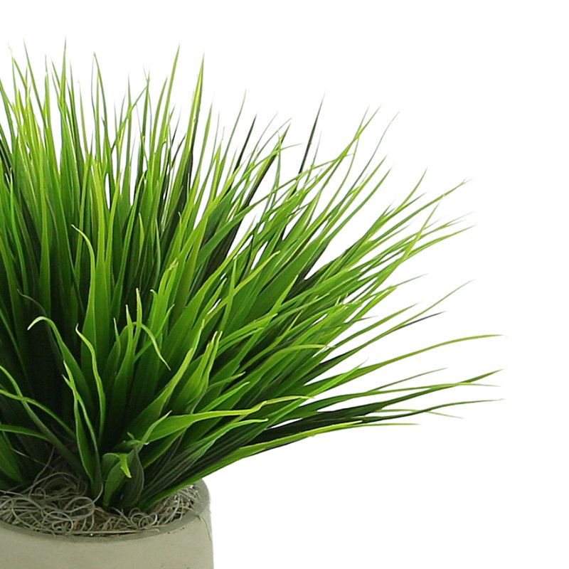 Vanilla Grass Arranged In A Fiberstone Pot