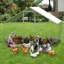 Chicken Run with Wire Mesh