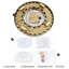 Canora Grey Unique/Statement Chandelier-317477384-322464707-322464704