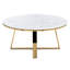 Danika Solid Coffee Table with Storage