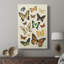 Collection Flutter I - galerie sur mesure-772855546