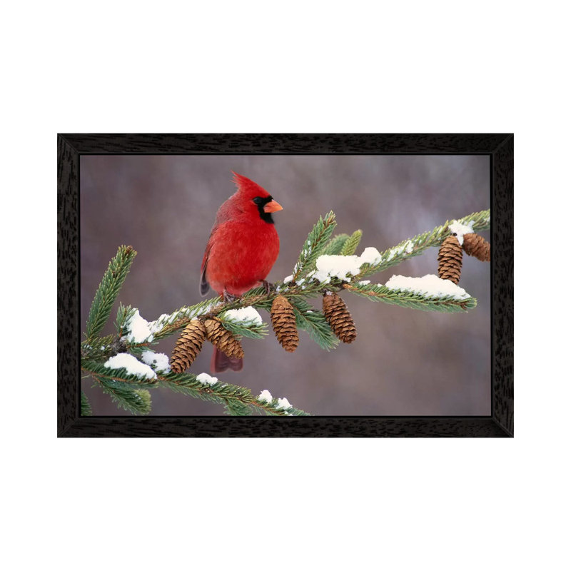 Steve Gettle - Print on Canvas, 101.6 cm H x 66.04 cm W, Black Floater Framed