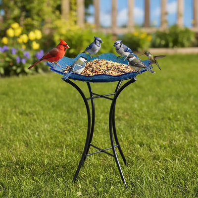 Bain d'oiseaux pour l'extérieur
