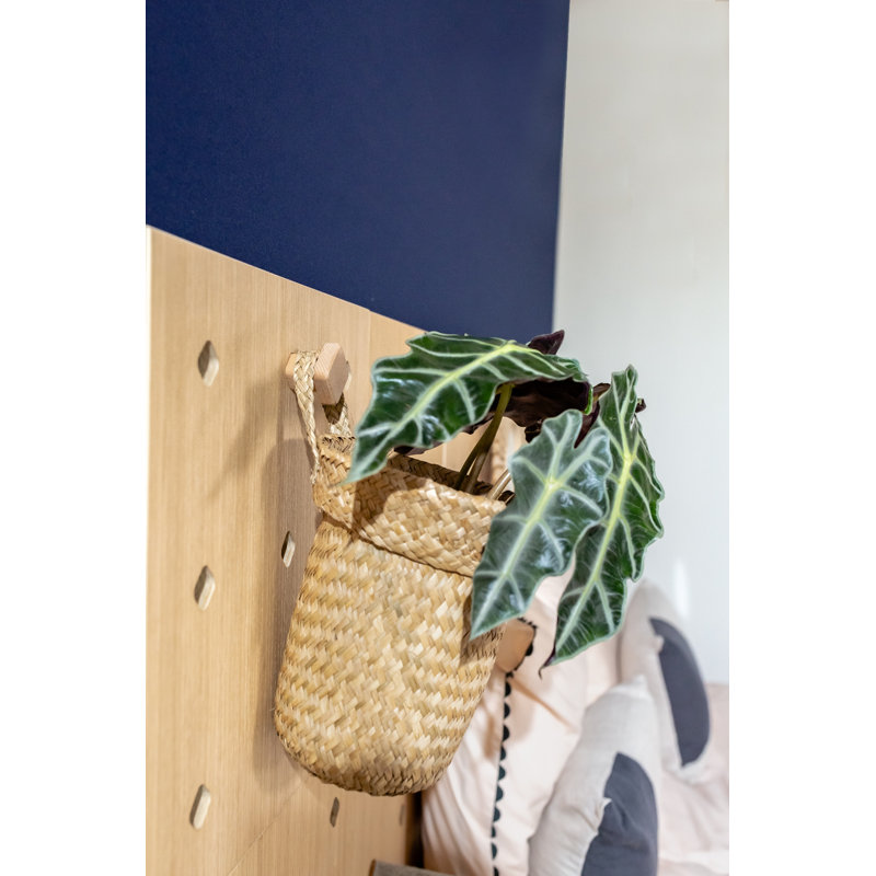 Burnabbie Adjustable Hooks Pegboard Wall Organizer (4 included)