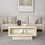 Caomhan Pedestal Coffee Table with Storage-1286931137