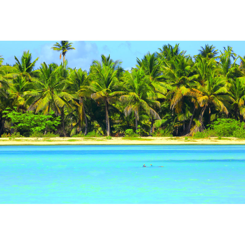 Tropical Paradise - Wrapped Canvas Print, 51cm H x 76cm W x 3.8cm
