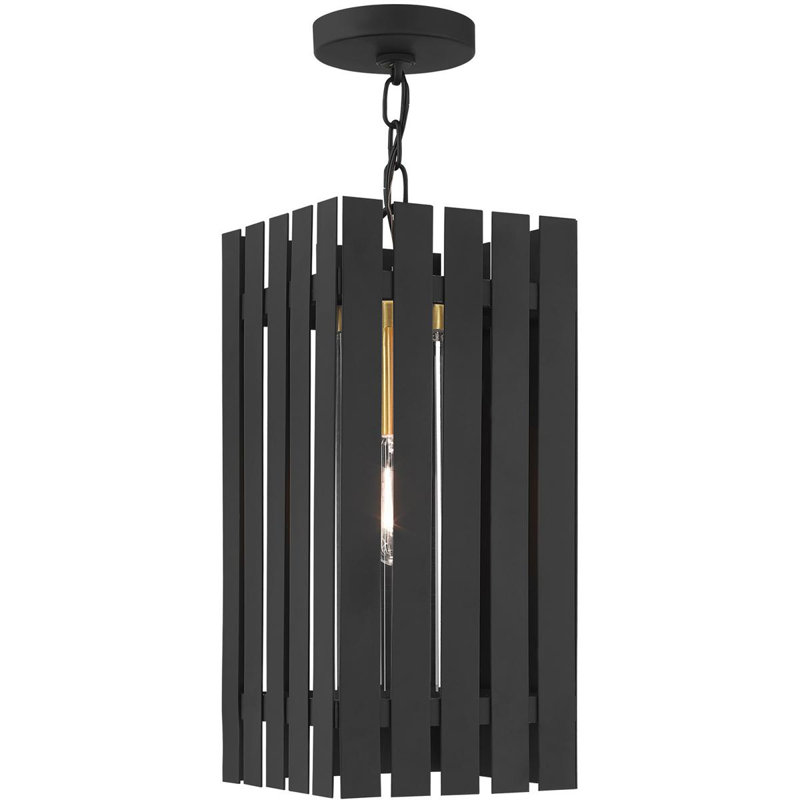 Lanterne suspendue d'extérieur 8 po avec abat-jour en verre transparent, Noir