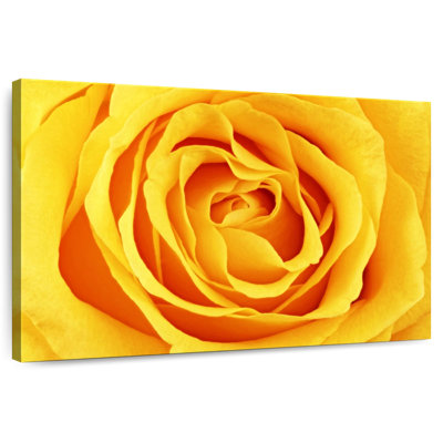 Rose Harnek