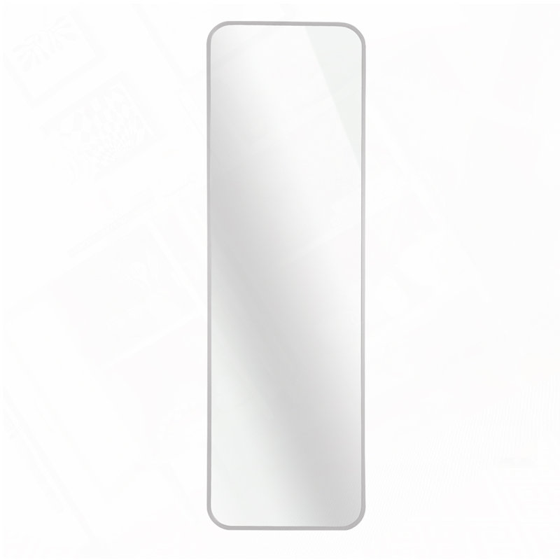 47 x 14IN Door mirror, Silver