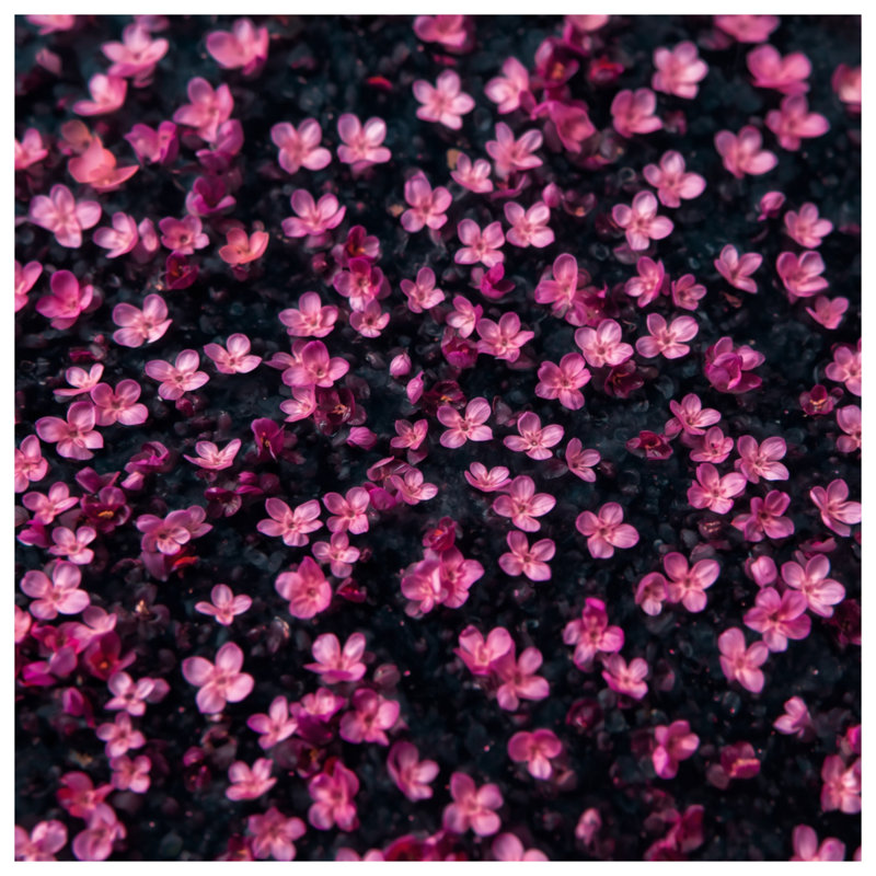 Pink Tiny Flowers Bath Mat, 24in W x 17in L