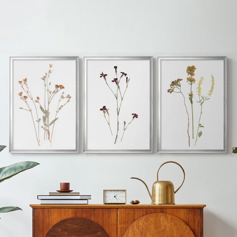 Pressed Botanical I - Toile tendue avec châssis sur mesure - 3 pièces, Argent argent, H 19 po x l 27 po