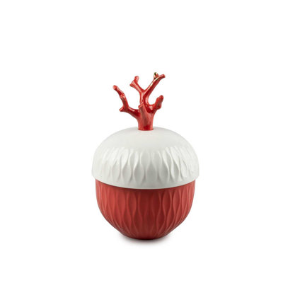 Bougie corail