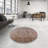 Oriental Indoor Rug-1701706220
