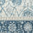 Charsie Oriental Indoor Rug