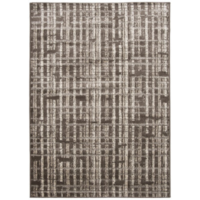 Spadina Indoor Area Rug And Runners