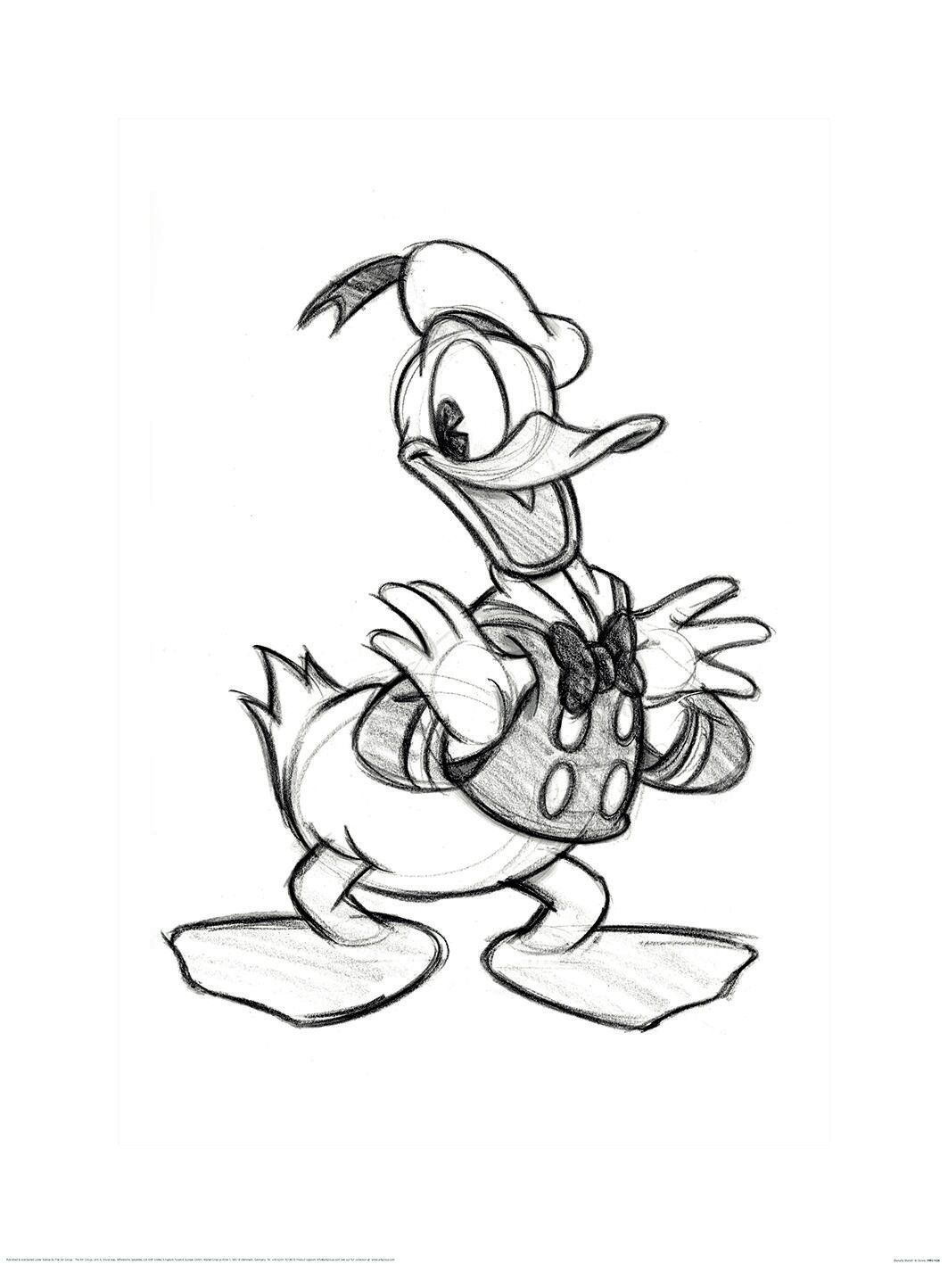 Donald Duck Drawing by Julian Centeno - Pixels