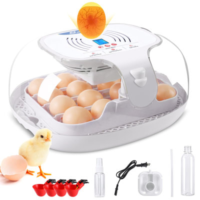 Incubateur d'œufs de poule Daise pour jusqu'à 16 œufs