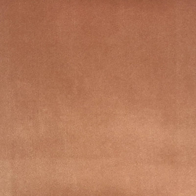 Solid Velvet | Tuscan Fabric
