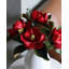 Crimson Red Magnolia 24"
