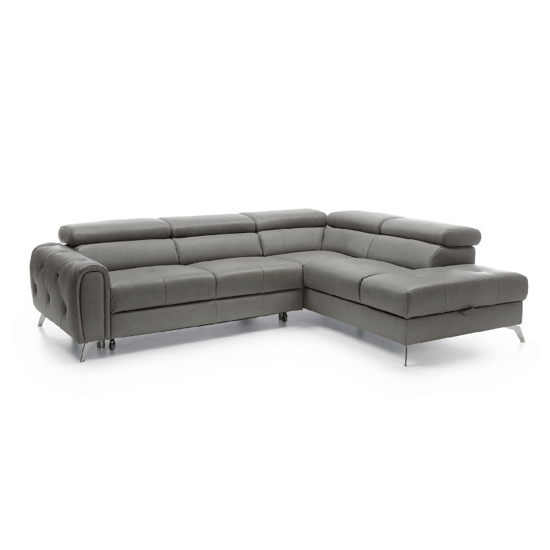 Camelia Sectional Sectional Sofa Bed