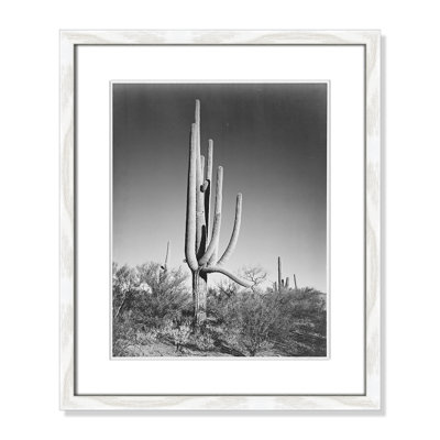 Saguaro National Monument Print by Ansel Adams