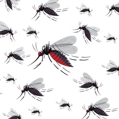 Thurmont Gnat Design - Wrapped Canvas Print