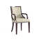 Elianys 18.5'' H Upholstered Beech Armchair