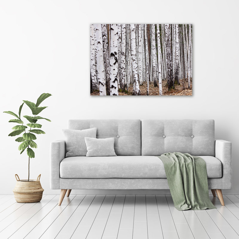 Birch-tree - No Frame Print on Glass