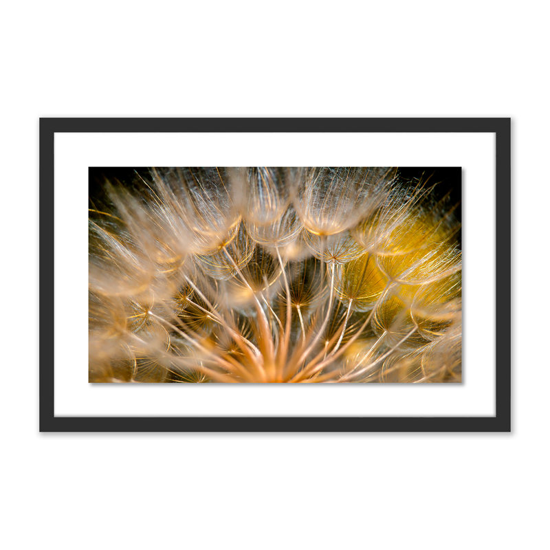 Float Away Print by Geoffrey Baris, 25" H x 40" W x 2.5" D, Black
