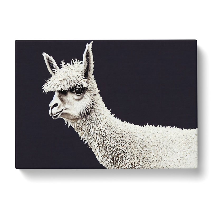 Portrait Of A Llama - Wrapped Canvas, 35cm H x 50cm W x 3cm D