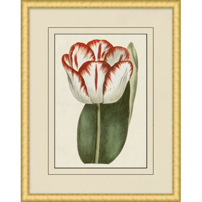 Fresh Flowers 10 Print